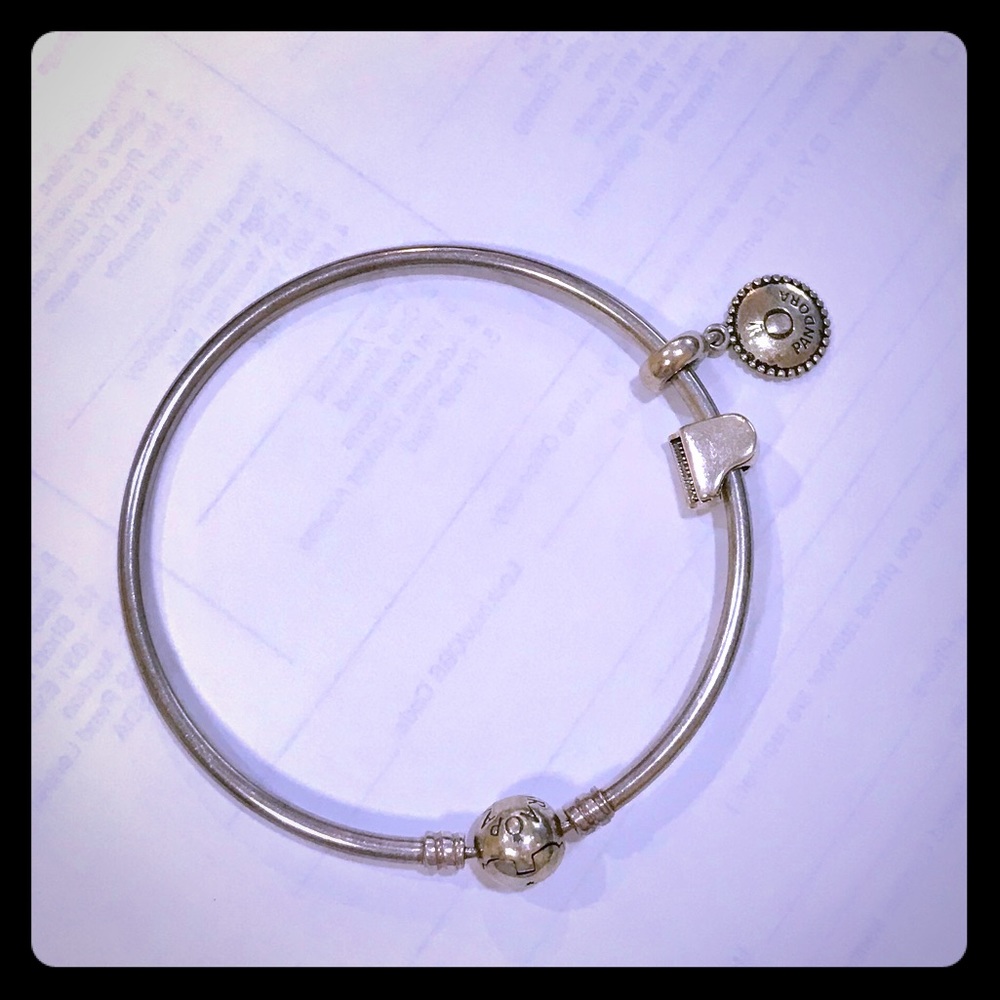 Sterling Silver Pandora Charm Bracelet
